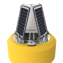 Load image into Gallery viewer, NexSens CB-250 Data Buoy