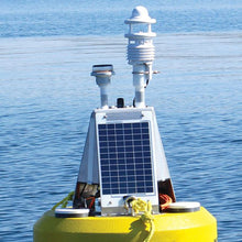 Load image into Gallery viewer, NexSens Lufft WS-Series Weather Sensor Buoy Mount

